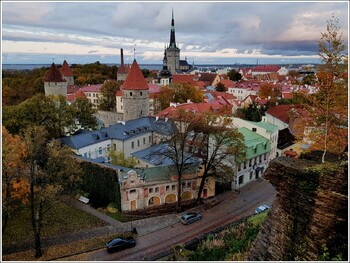В Эстонии непривитым запретили посещать общественные места
